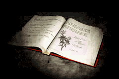 http://silenthillmemories.net/sh_pn/scenarios/harry_05-8.gif