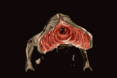http://silenthillmemories.net/sh_pn/scenarios/harry_05-12.gif